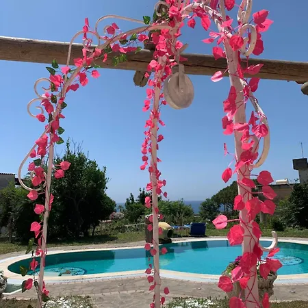 Villa Liuba Con Piscina E Sauna *
